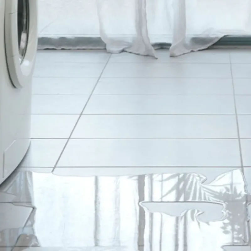 Appliance Leak Cleanup in Guntersville, AL