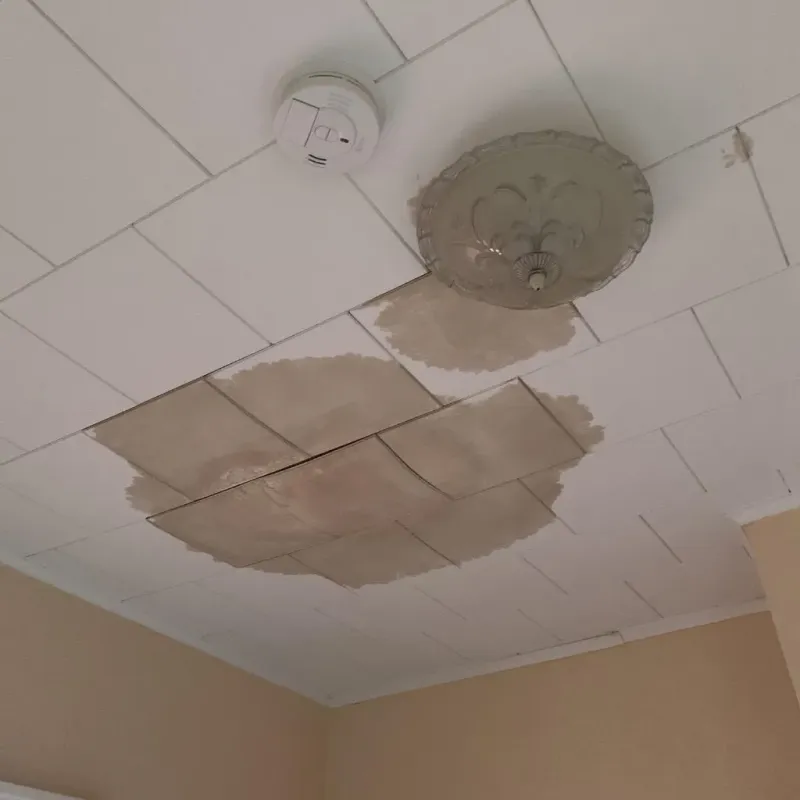 Ceiling Water Damage Repair in Guntersville, AL